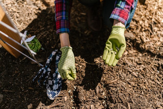 mulch