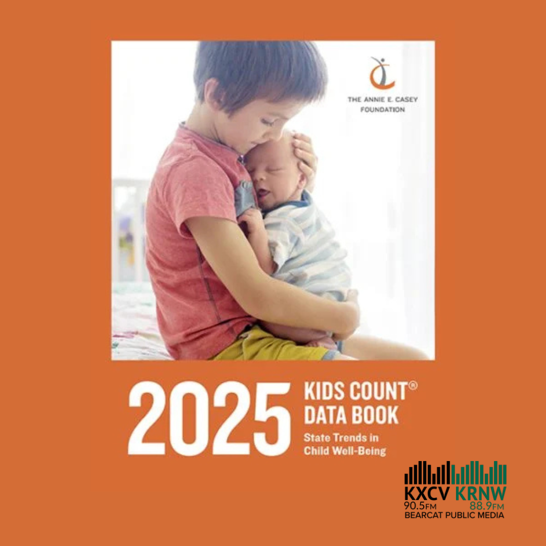 Kids Count Data Book