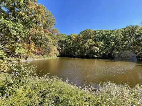Pigeon Hill Conservation