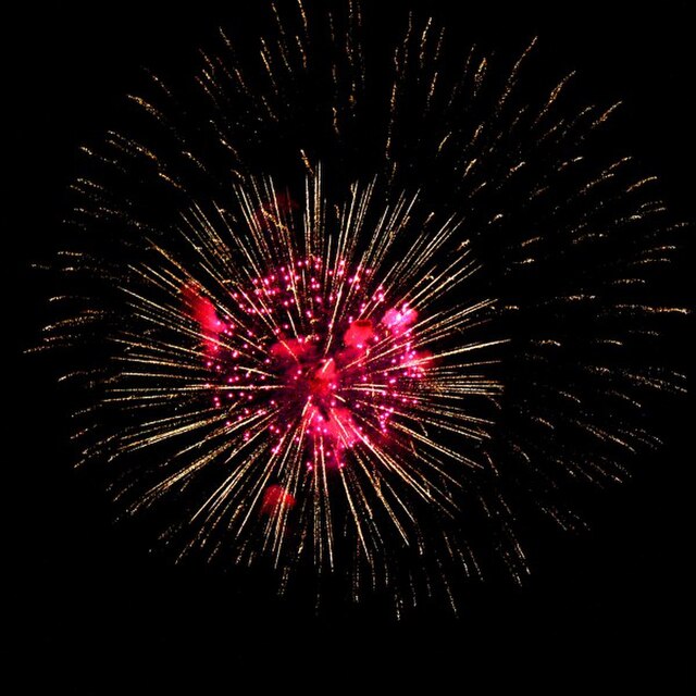 Firework