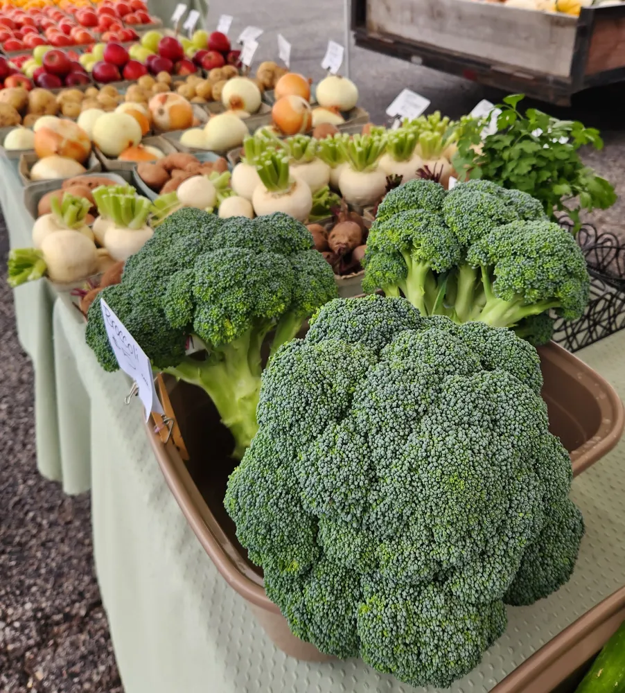Farmers market table