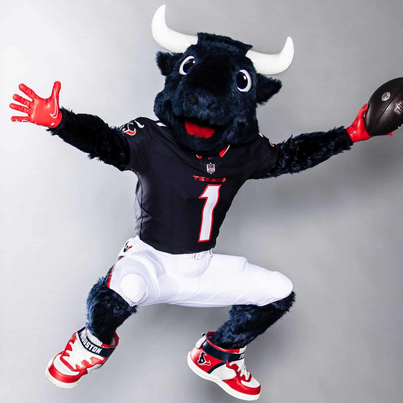Houston Texan mascot, Toro