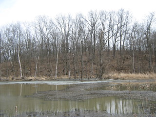 Iowa Wetlands 